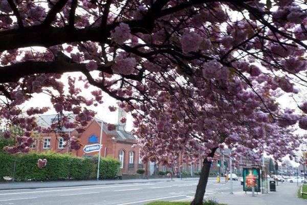 McVitite's Factory, Heaton Chapel. Image by Six57