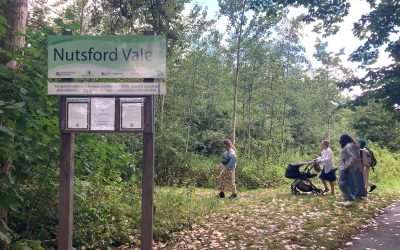 Nature and Neighbourhood Walk in Nutsford Vale. Image: Augusta Ward